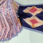 Exclusive Shiburi Dye Saree