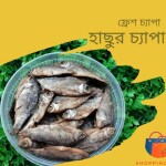 চ্যাপা শুটকি