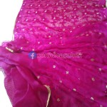 Rajshahi Muslin Silk Embroidery work