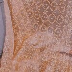 Rajshahi Muslin Silk Jamdani & cut work