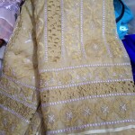 Rajshahi Muslin Silk Jamdani & cut work