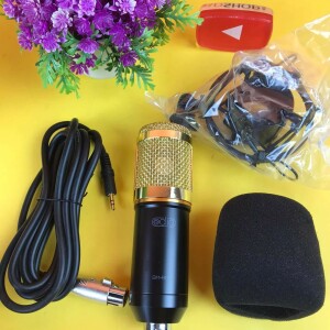 BM800 Condenser Microphone