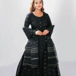 Jamdani 2pcs Gown Orna Set