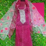 New Indian Tissu Dress