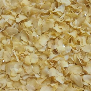 Ivory Freeze Dried Rose Petals