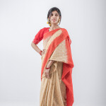 natural dye saree