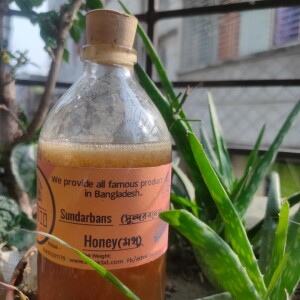 Sundarbans Honey (Khalisha Flower) সুন্দরবনের মধু (খলিশ ফুল)
