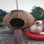 Natural Coconut Shell Bird Nest House