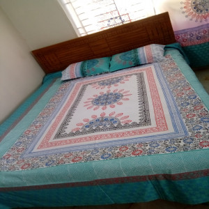 Beautiful handblocked double bedded bedsheet